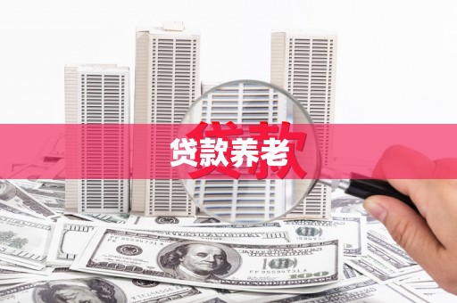 宁夏贷款养老