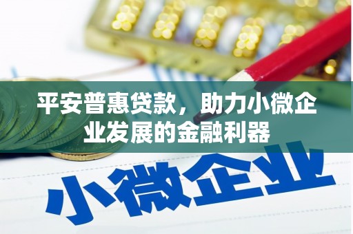 宁夏平安普惠贷款，助力小微企业发展的金融利器
