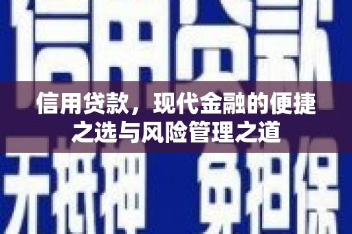 宁夏信用贷款，现代金融的便捷之选与风险管理之道