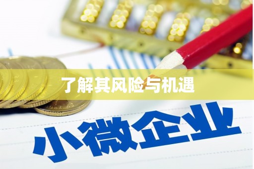 宁夏了解其风险与机遇