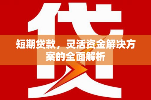 宁夏短期贷款，灵活资金解决方案的全面解析