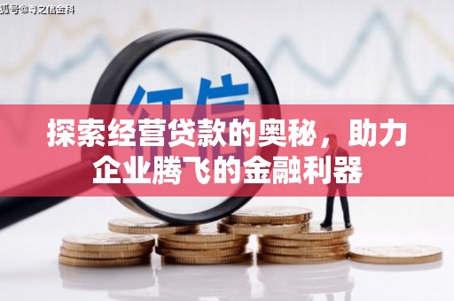 宁夏探索经营贷款的奥秘，助力企业腾飞的金融利器