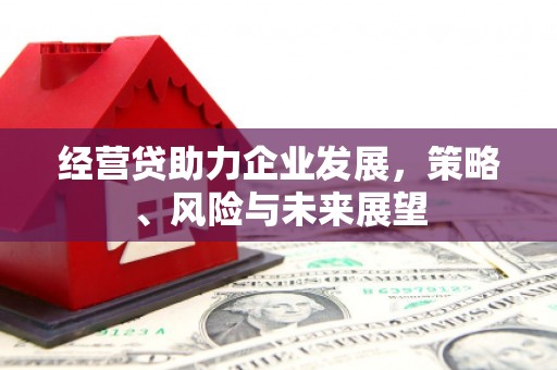 宁夏经营贷助力企业发展，策略、风险与未来展望