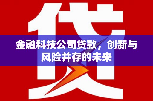 宁夏金融科技公司贷款，创新与风险并存的未来