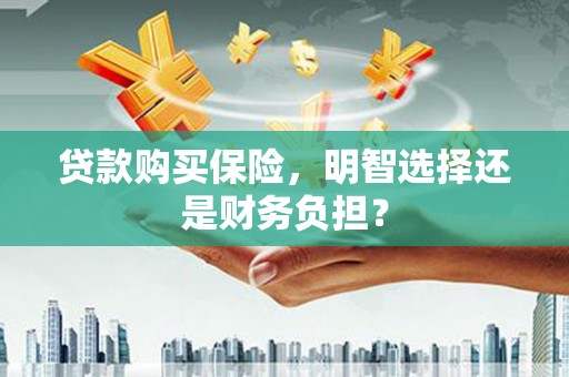 宁夏贷款购买保险，明智选择还是财务负担？