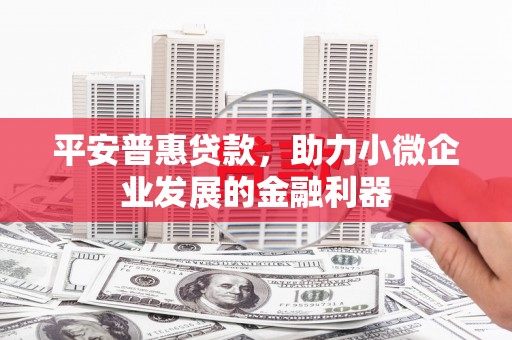 宁夏平安普惠贷款，助力小微企业发展的金融利器