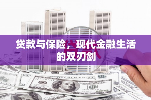 宁夏贷款与保险，现代金融生活的双刃剑