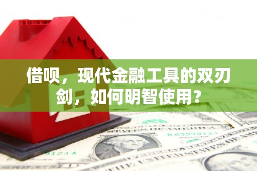 宁夏借呗，现代金融工具的双刃剑，如何明智使用？