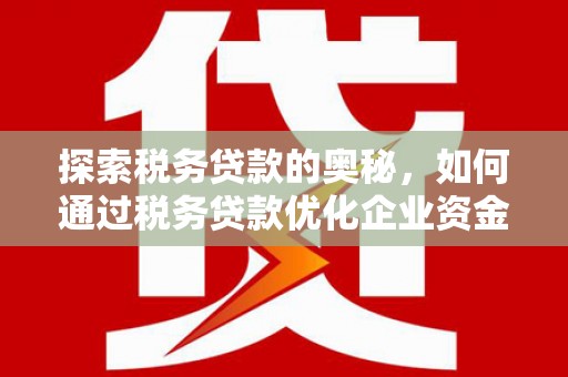 宁夏探索税务贷款的奥秘，如何通过税务贷款优化企业资金流