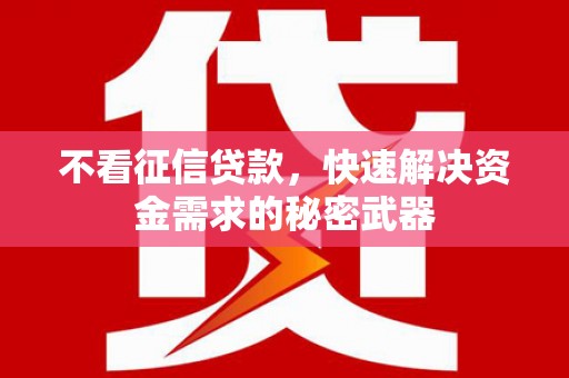 宁夏不看征信贷款，快速解决资金需求的秘密武器