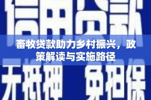 宁夏畜牧贷款助力乡村振兴，政策解读与实施路径