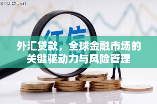 宁夏外汇贷款，全球金融市场的关键驱动力与风险管理