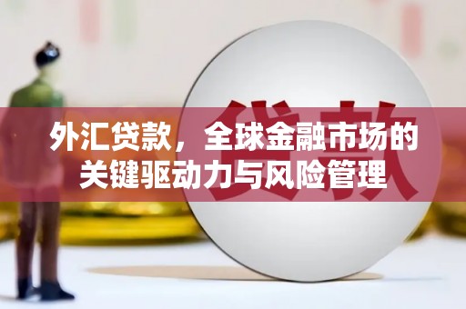 宁夏外汇贷款，全球金融市场的关键驱动力与风险管理