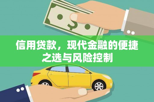 宁夏信用贷款，现代金融的便捷之选与风险控制