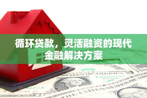 宁夏循环贷款，灵活融资的现代金融解决方案