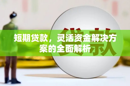 宁夏短期贷款，灵活资金解决方案的全面解析