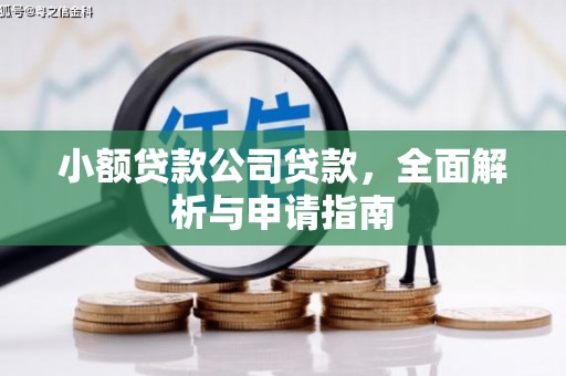 宁夏小额贷款公司贷款，全面解析与申请指南