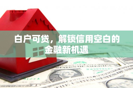 宁夏白户可贷，解锁信用空白的金融新机遇