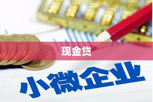 宁夏现金贷
