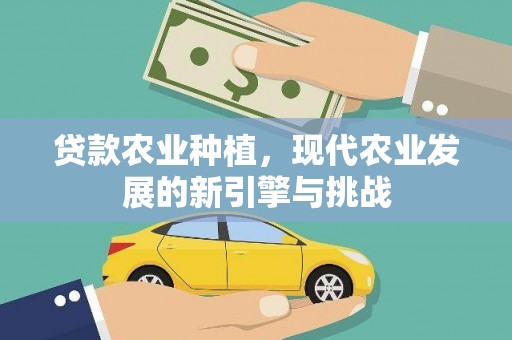 宁夏贷款农业种植，现代农业发展的新引擎与挑战