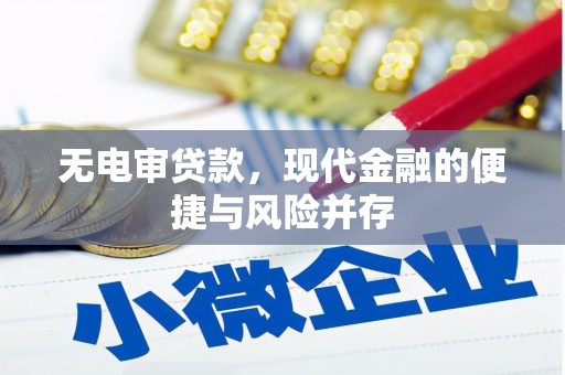 宁夏无电审贷款，现代金融的便捷与风险并存