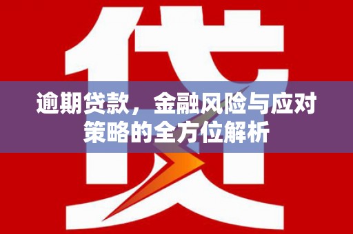 宁夏逾期贷款，金融风险与应对策略的全方位解析