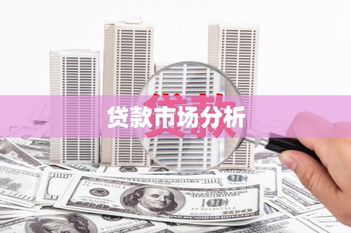 宁夏贷款市场分析
