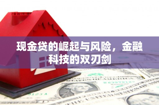 宁夏现金贷的崛起与风险，金融科技的双刃剑