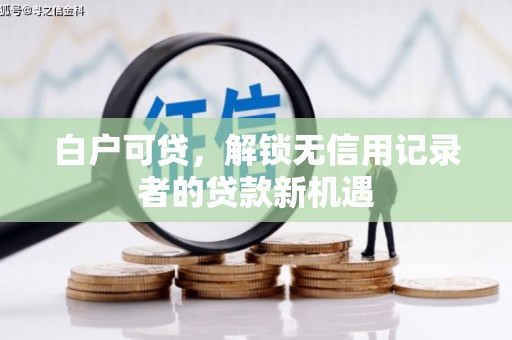 宁夏白户可贷，解锁无信用记录者的贷款新机遇