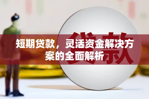 宁夏短期贷款，灵活资金解决方案的全面解析