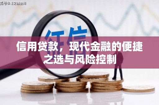 宁夏信用贷款，现代金融的便捷之选与风险控制