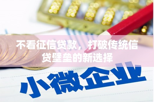 宁夏不看征信贷款，打破传统信贷壁垒的新选择