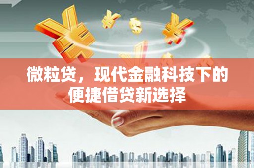 宁夏微粒贷，现代金融科技下的便捷借贷新选择
