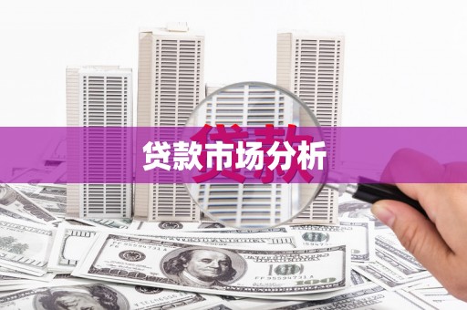 宁夏贷款市场分析