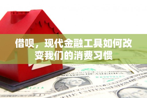 宁夏借呗，现代金融工具如何改变我们的消费习惯