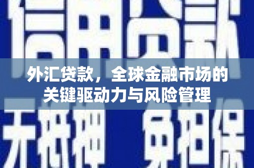 宁夏外汇贷款，全球金融市场的关键驱动力与风险管理