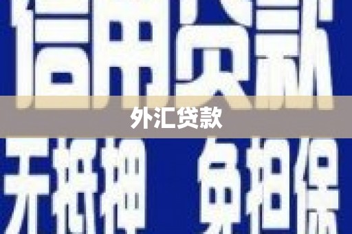 宁夏外汇贷款