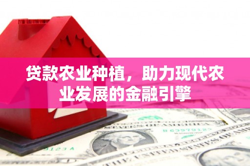 宁夏贷款农业种植，助力现代农业发展的金融引擎