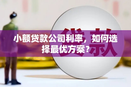 宁夏小额贷款公司利率，如何选择最优方案？