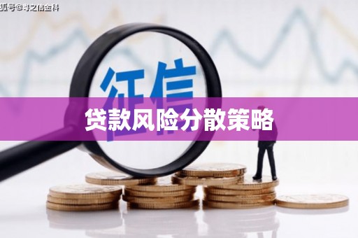 宁夏贷款风险分散策略
