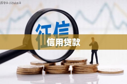 宁夏信用贷款