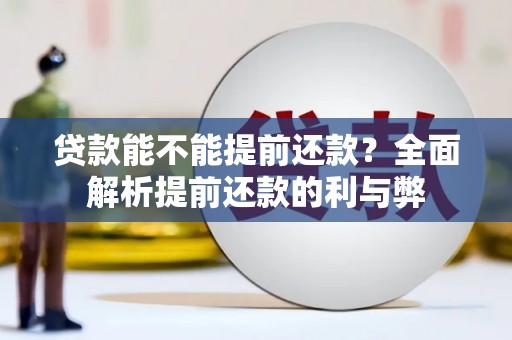 宁夏贷款能不能提前还款？全面解析提前还款的利与弊