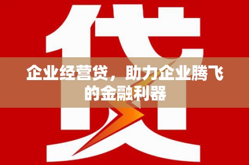 宁夏企业经营贷，助力企业腾飞的金融利器