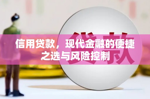 宁夏信用贷款，现代金融的便捷之选与风险控制