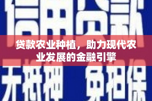 宁夏贷款农业种植，助力现代农业发展的金融引擎