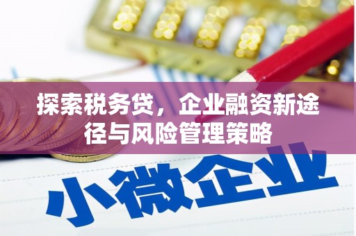 宁夏探索税务贷，企业融资新途径与风险管理策略