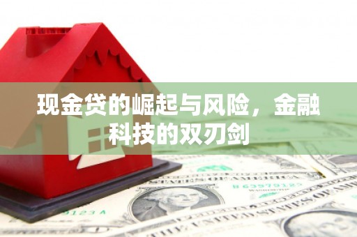 宁夏现金贷的崛起与风险，金融科技的双刃剑