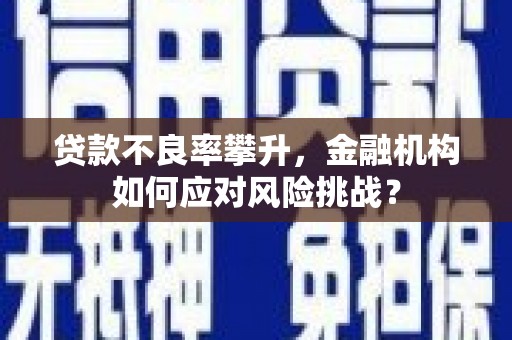 宁夏贷款不良率攀升，金融机构如何应对风险挑战？