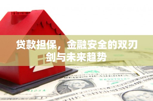 宁夏贷款担保，金融安全的双刃剑与未来趋势