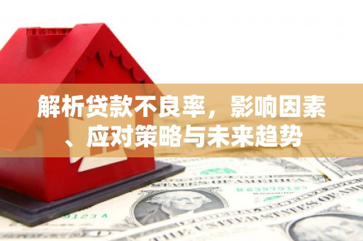 宁夏解析贷款不良率，影响因素、应对策略与未来趋势